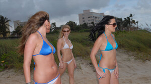 Three sultry kittens with sunglasses take a walk with not a thing but swimsuits on