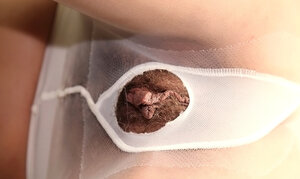 Euro girl Savannah Secret looks fuckable in high heels