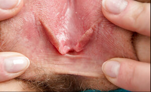 Hot sportswoman undresses and plus does the plank exercise and plus split upside down